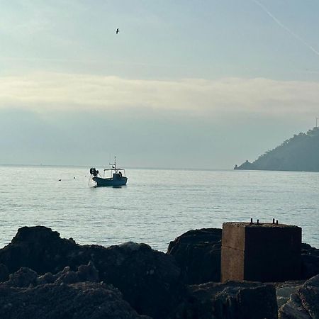 Riviera Beach Hotel Mandelieu Dış mekan fotoğraf